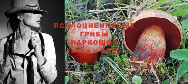 бошки Богданович