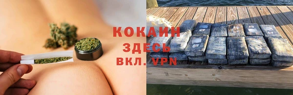 гидра Бронницы