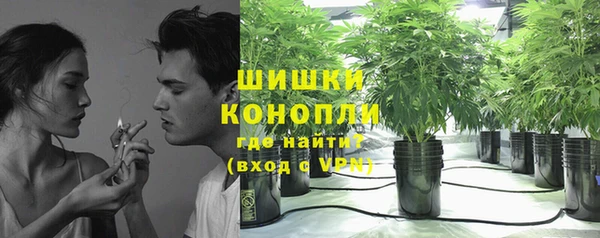 MDMA Богородицк