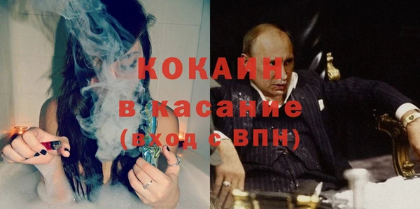 бошки Богданович