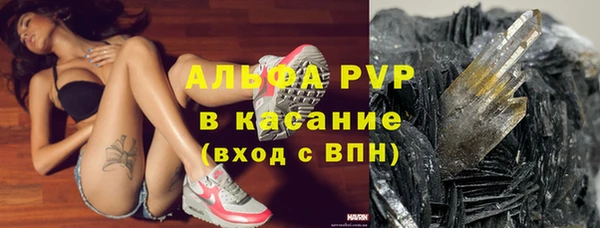 бошки Богданович
